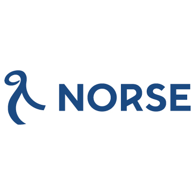 flynorse